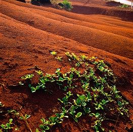 《星空》正式发售后 Steam在线峰值却没怎么增加