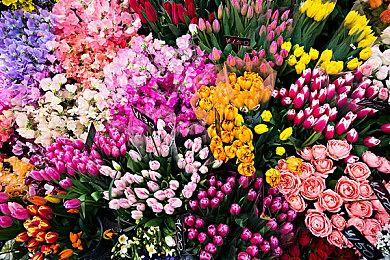 任天堂发《超级马里奥：奥德赛》邮件或暗示新作